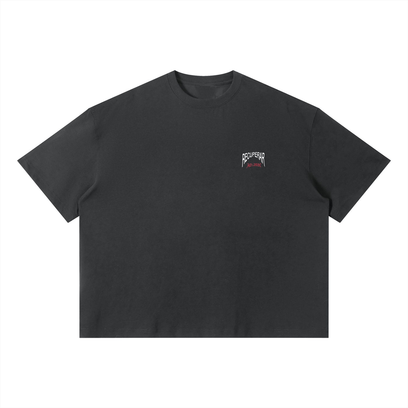 Worldwide T-shirt Dark Gray (Box fit)